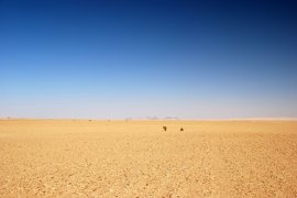 Leere Wüste